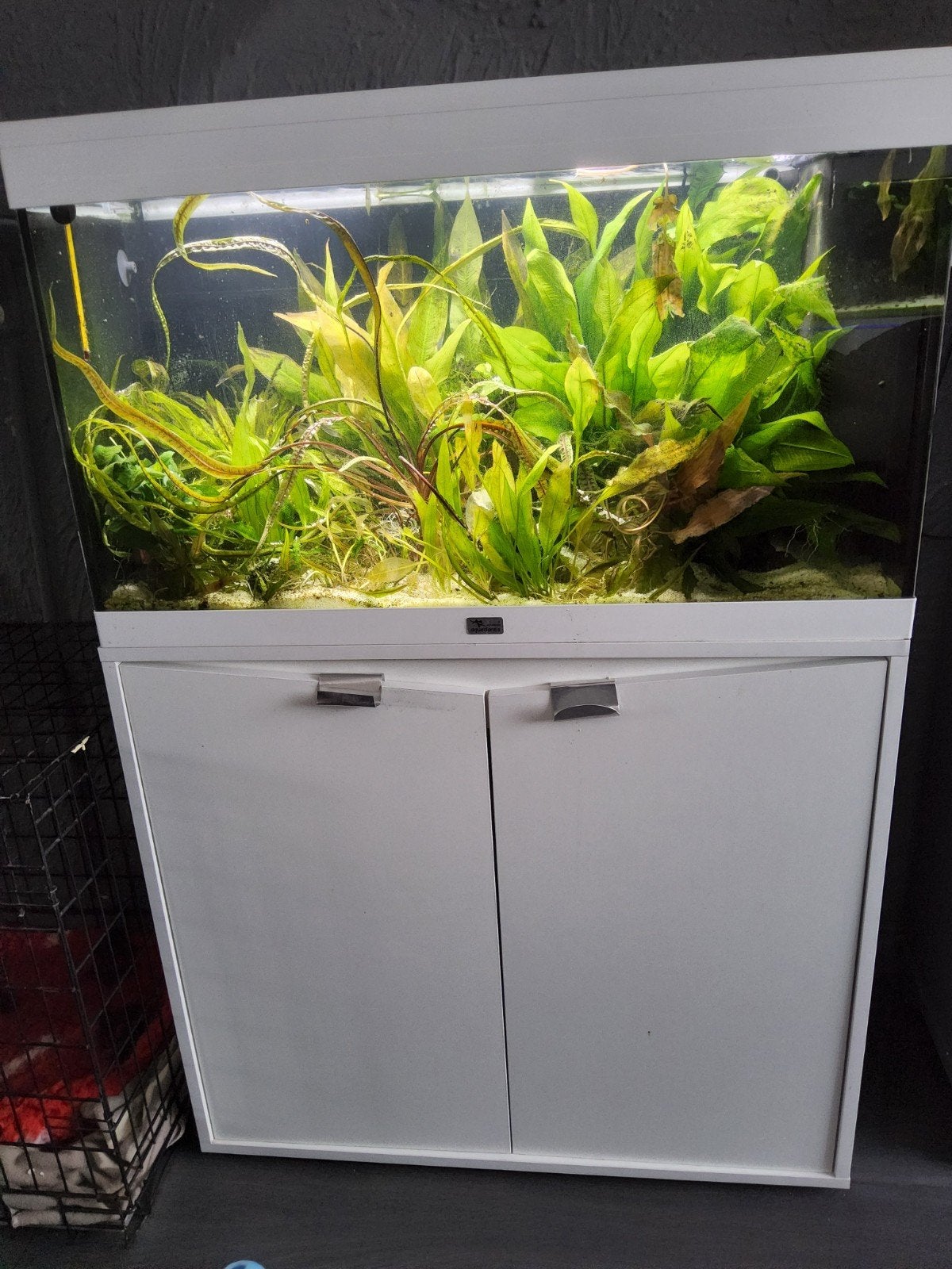 Aqualantis volga 125 inclusief meubel, Dieren en Toebehoren, Vissen | Aquaria en Toebehoren, Leeg aquarium, Ophalen