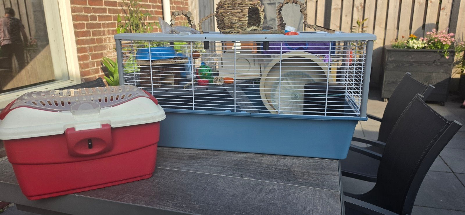Ferplast criceti 15 hamsterkooi (gratis zaagsel), Ophalen, Kooi, Minder dan 60 cm