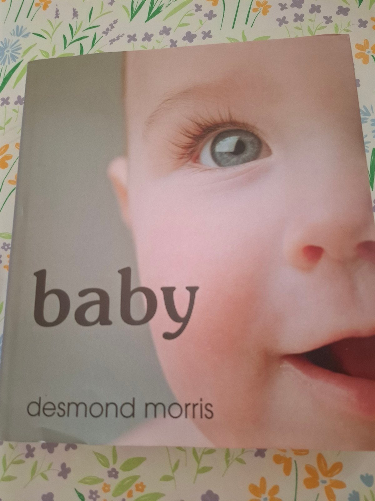 Desmond Morris - Baby, Zwangerschap en Bevalling, Ophalen of Verzenden, Zo goed als nieuw, Desmond Morris