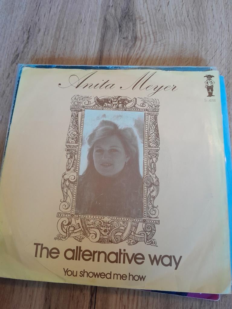 Anita meyer 7inch the alternative way, Ophalen of Verzenden, Zo goed als nieuw, Pop