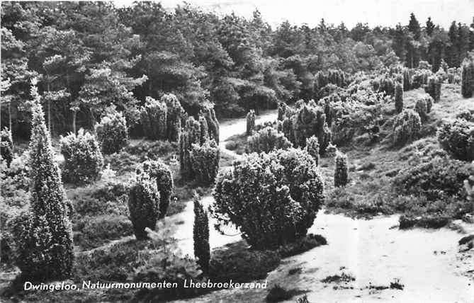 301-331-005 Dwingeloo Natuurmonumenten, Verzamelen, Verzenden, Voor 1920, Drenthe