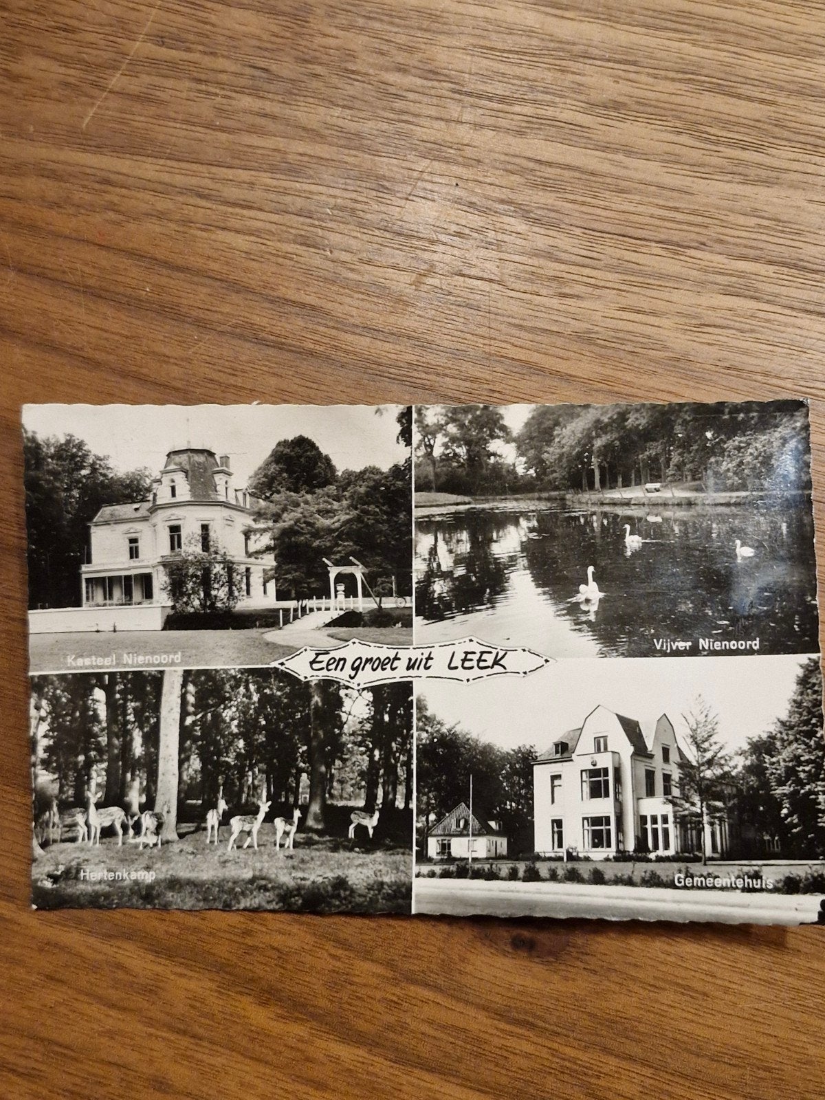 029  ansichtkaart Leek: Kasteel Nienoord, Hertenkamp, Gemeen, Ophalen of Verzenden, 1960 tot 1980, Gelopen, Groningen
