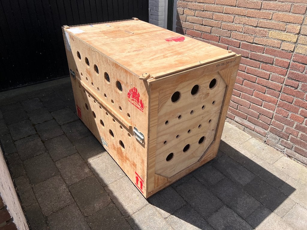 Airline Pet Travel Crate, Ophalen, Zo goed als nieuw