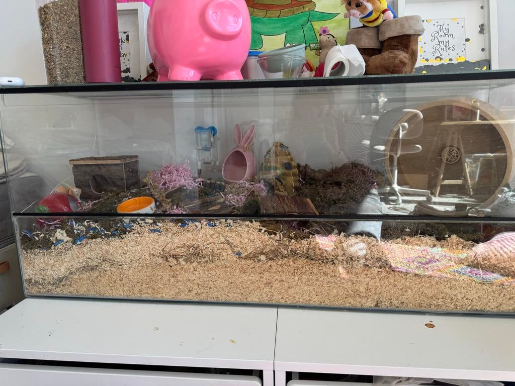 Hamster terrarium met enorm veel spullen!, Ophalen, Zo goed als nieuw, Overige typen