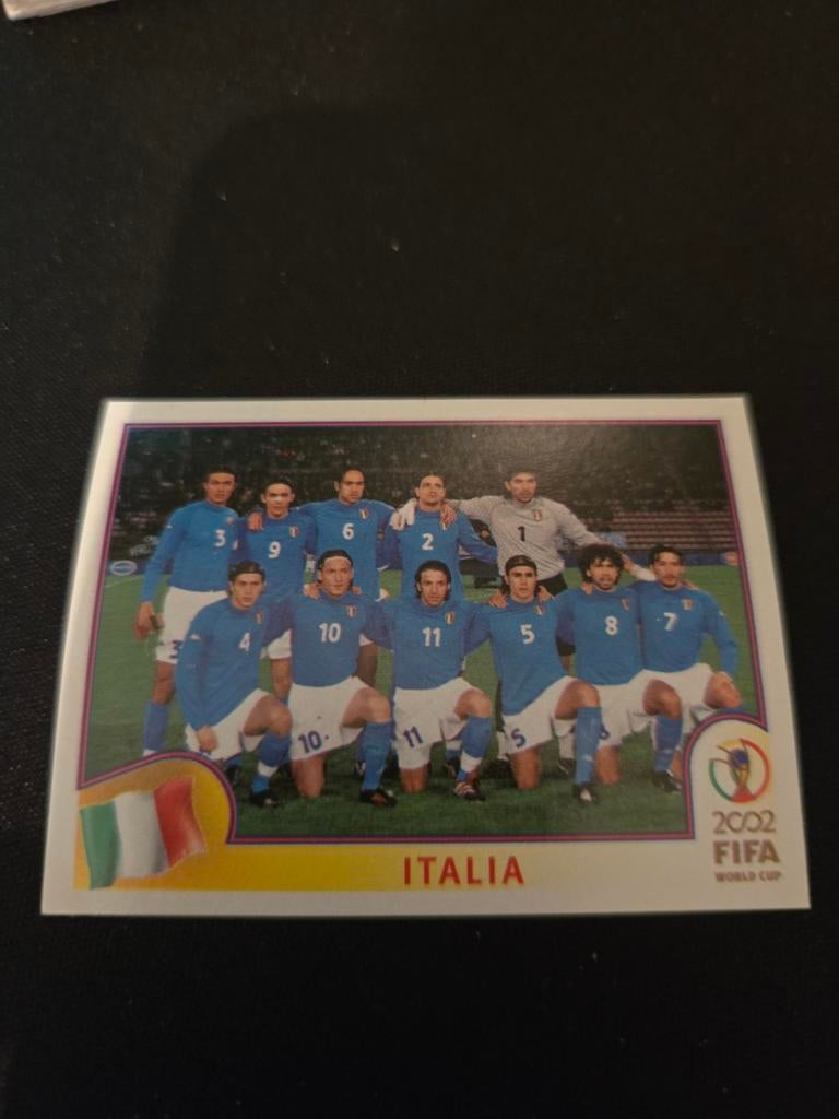 Panini Fifa world cup 2002, Ophalen of Verzenden, Zo goed als nieuw, Buitenlandse clubs, Poster, Plaatje of Sticker