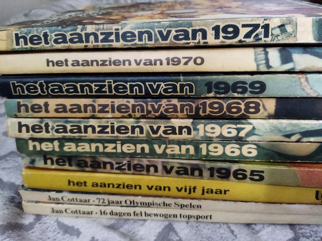 Het aanzien van 1955 tot 1971, Boeken, Ophalen of Verzenden, Gelezen, Nederland