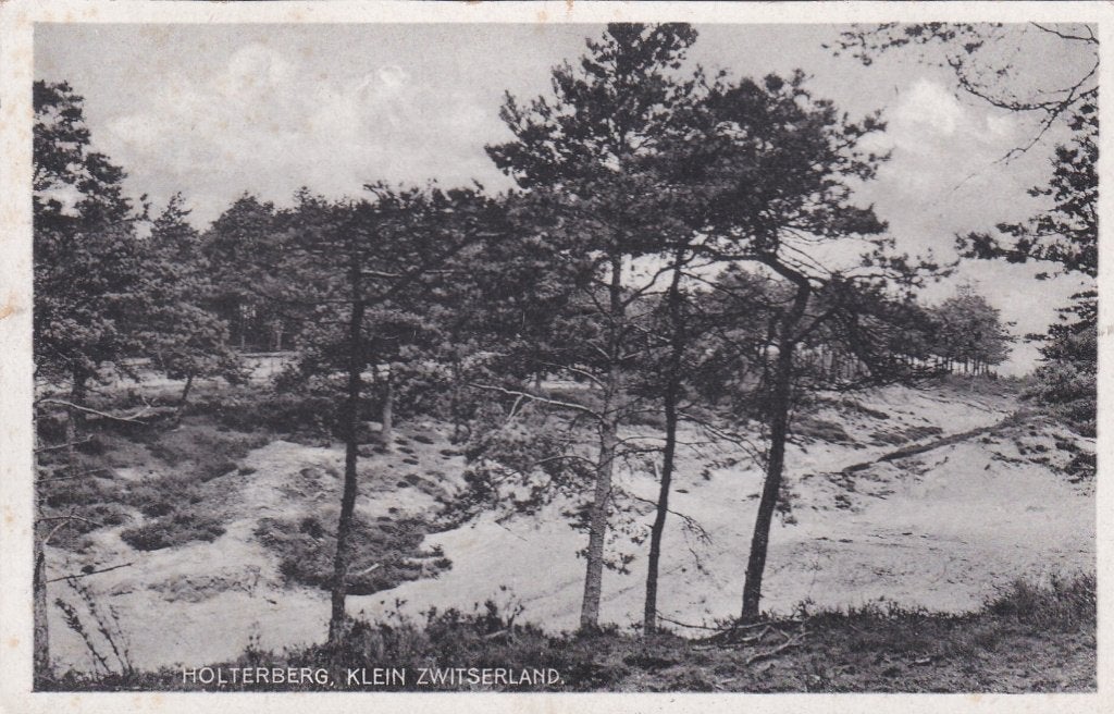 18872 holterberg Klein Zwitserland Zandvoort fotogr Rijssen, Verzenden, 1940 tot 1960, Ongelopen, Overijssel