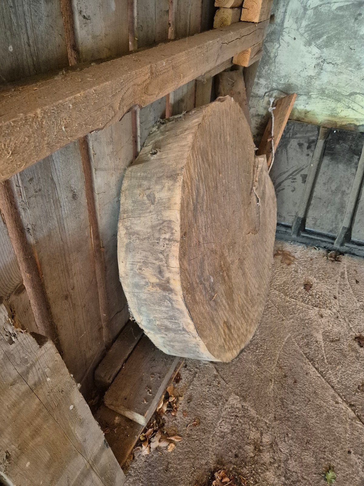 Boomstamblad ,1mtr diameter, 2 stuks, Ophalen of Verzenden, Rond