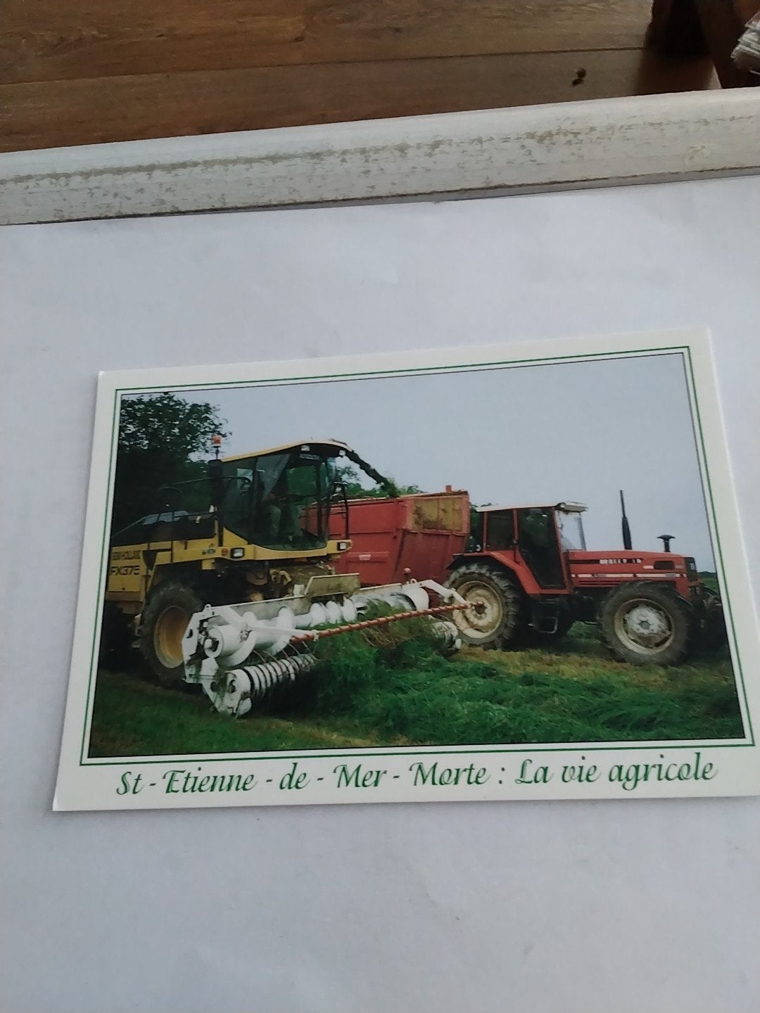Ansichtkaart St-Etienne-de-Mer-Morte: La vie agricole, Ophalen of Verzenden