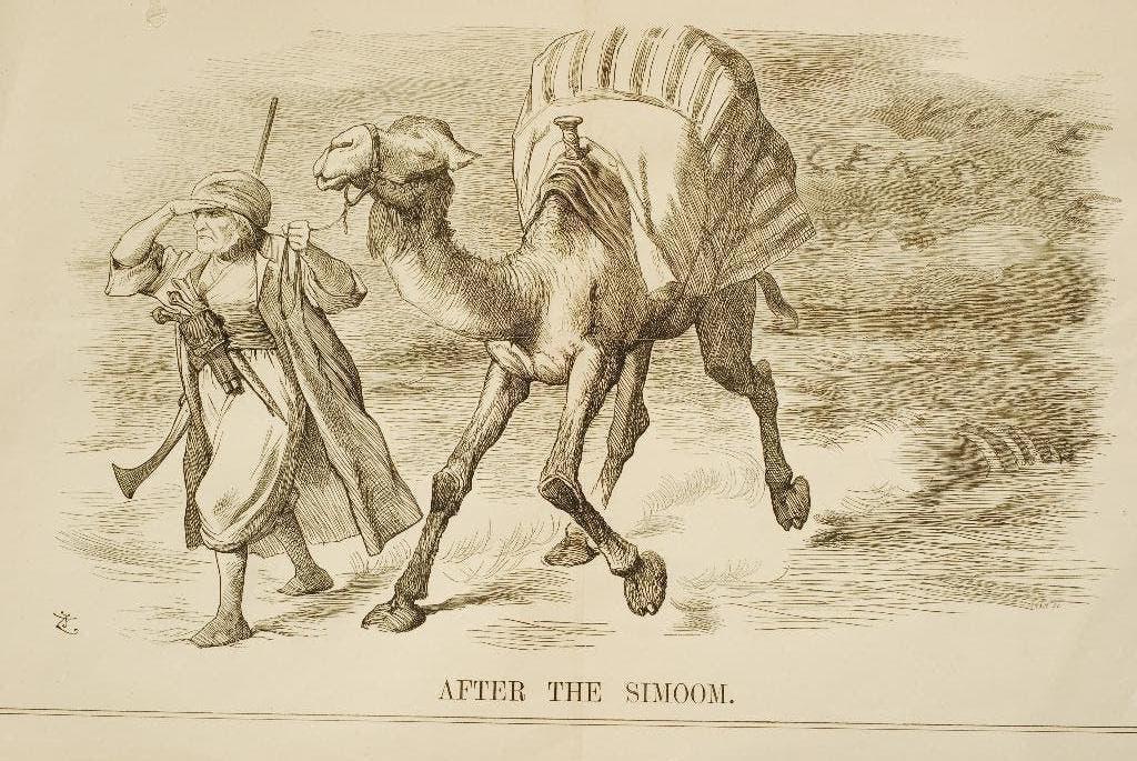 Een felle woestijnwind - Antieke illustratie (1884), Verzenden, Voor 1940, Gebruikt, Overige onderwerpen