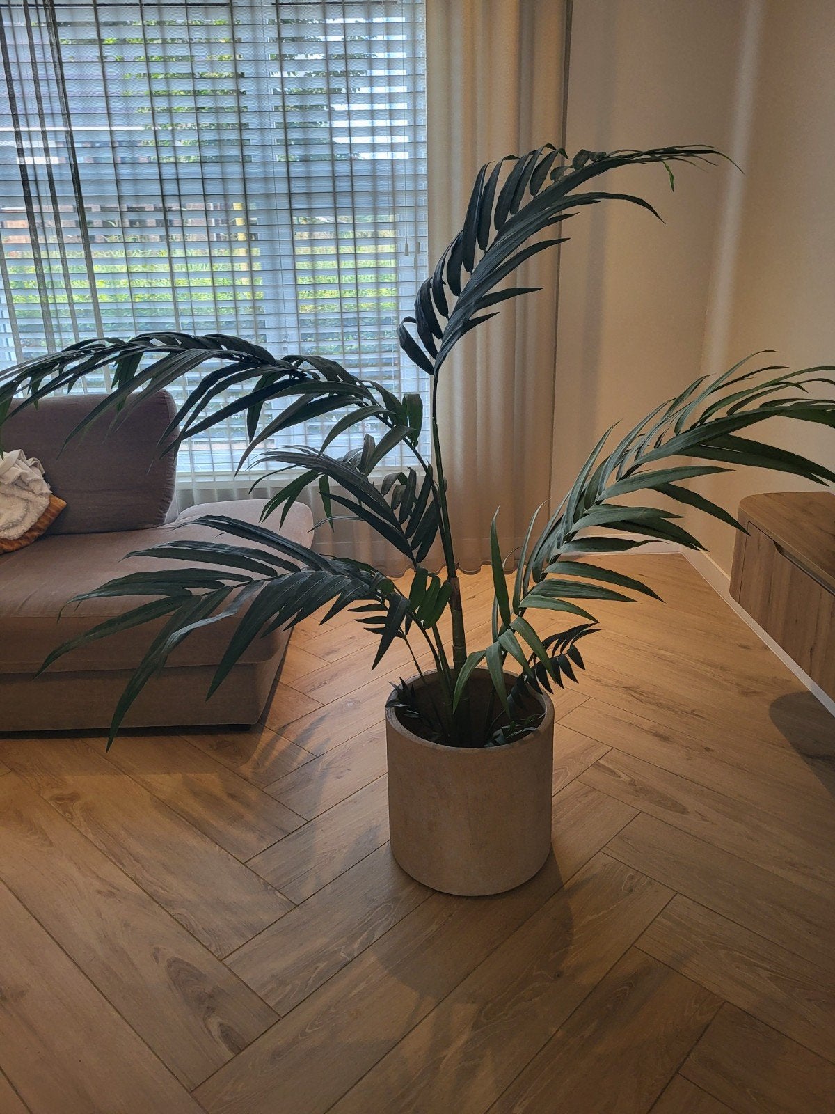 Grote kunstpalm - Realistische uitstraling, Ophalen, Zo goed als nieuw