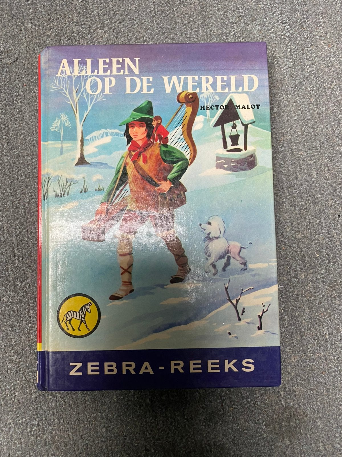 Alleen op de wereld, Boeken, Ophalen of Verzenden, Zo goed als nieuw