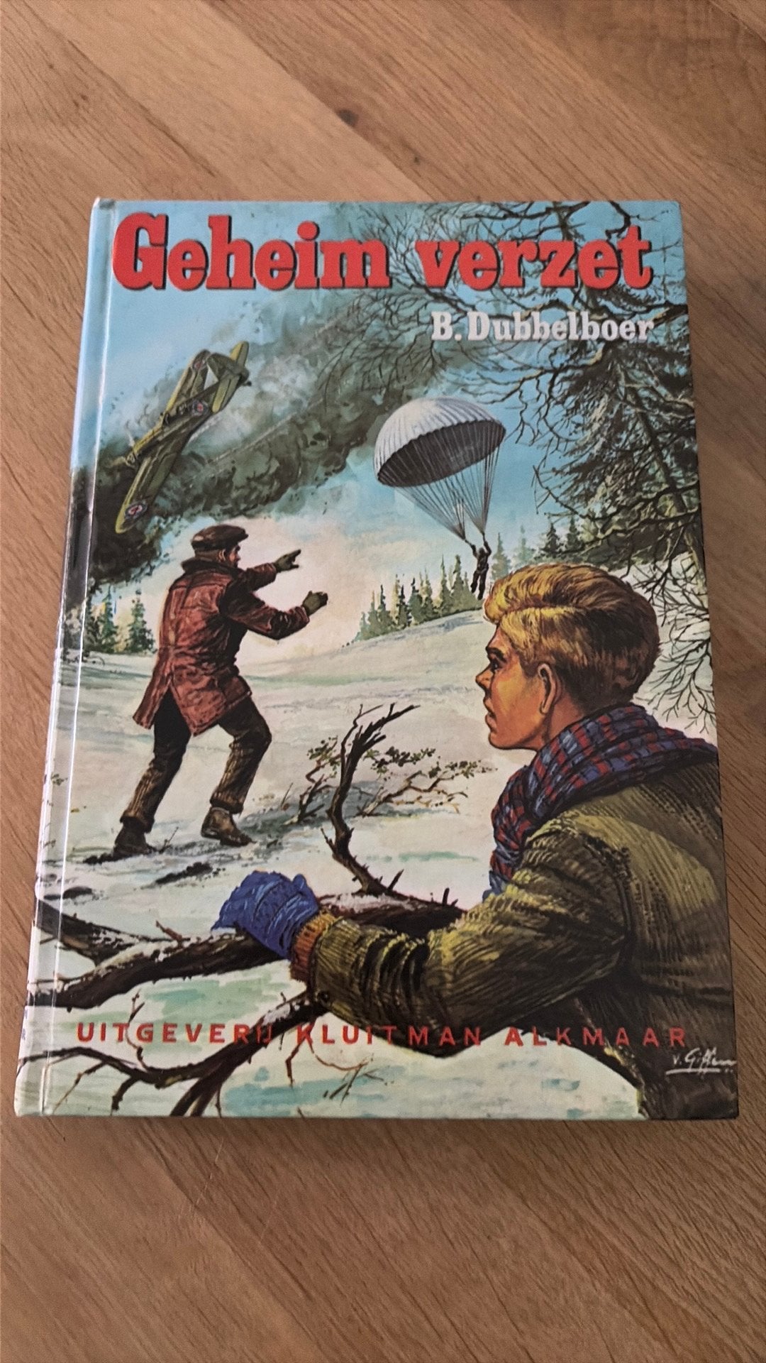 Geheim Verzet - B. Dubbelboer, Ophalen of Verzenden, Gelezen, Non-fictie
