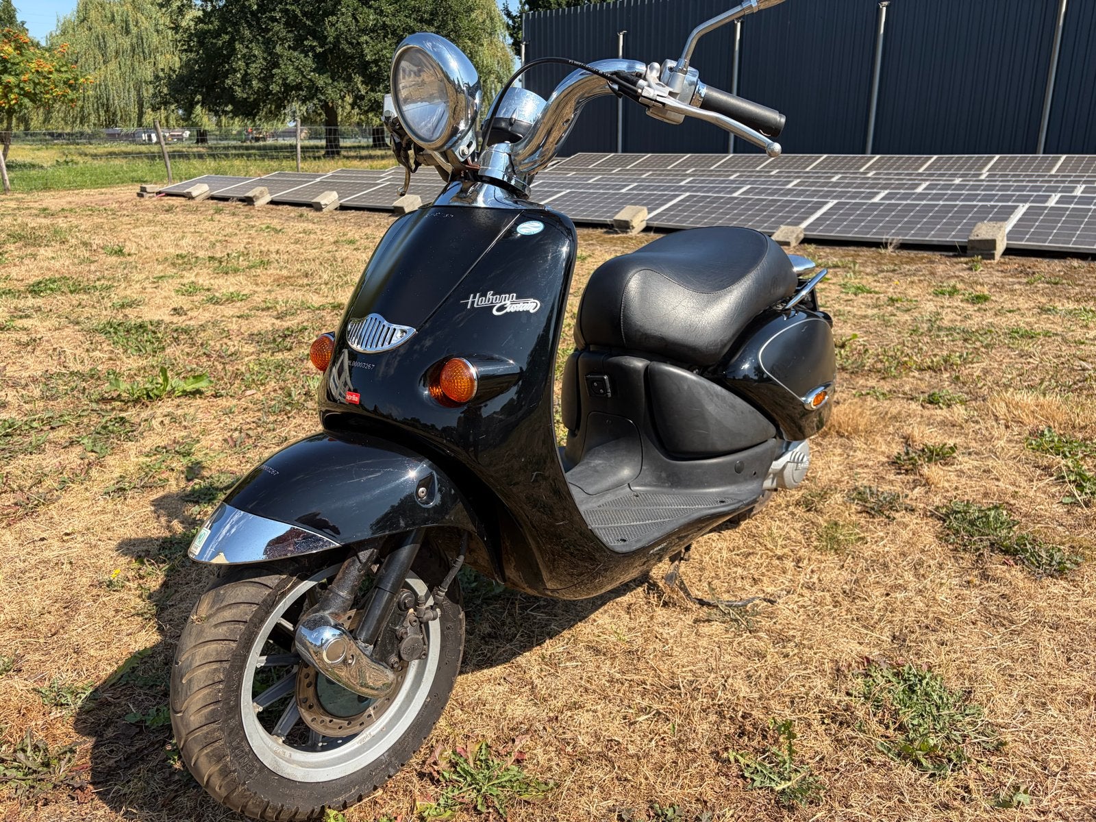 Aprilia Habana Custom Scooter - Zwart, Goede Staat, Ophalen, Gebruikt, Maximaal 45 km/u, Mojito of Habana
