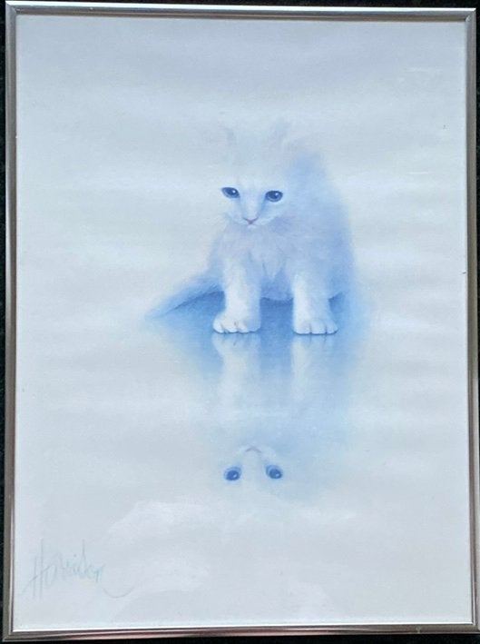 Snow Withe, Ophalen of Verzenden, 1980 tot heden, Zo goed als nieuw