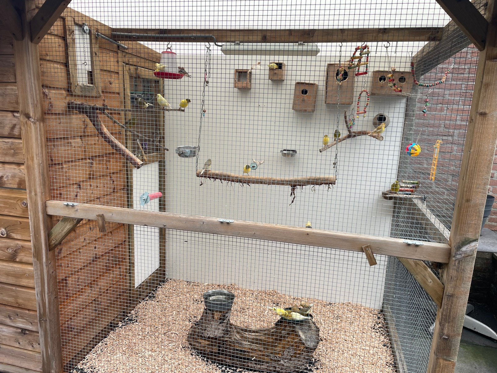 Mooie  volière met 25 kanaries/zeebravinkjes, Dieren en Toebehoren, Vogels | Hokken en Kooien, Ophalen, Hout, Volière