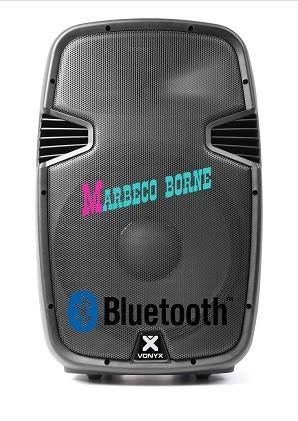 Luidspreker aktief, Speaker, SPJ1500ABT-MP3, USB,SD 15" 800W, Audio, Tv en Foto, Overige merken, Vonyx, Overige typen, Nieuw