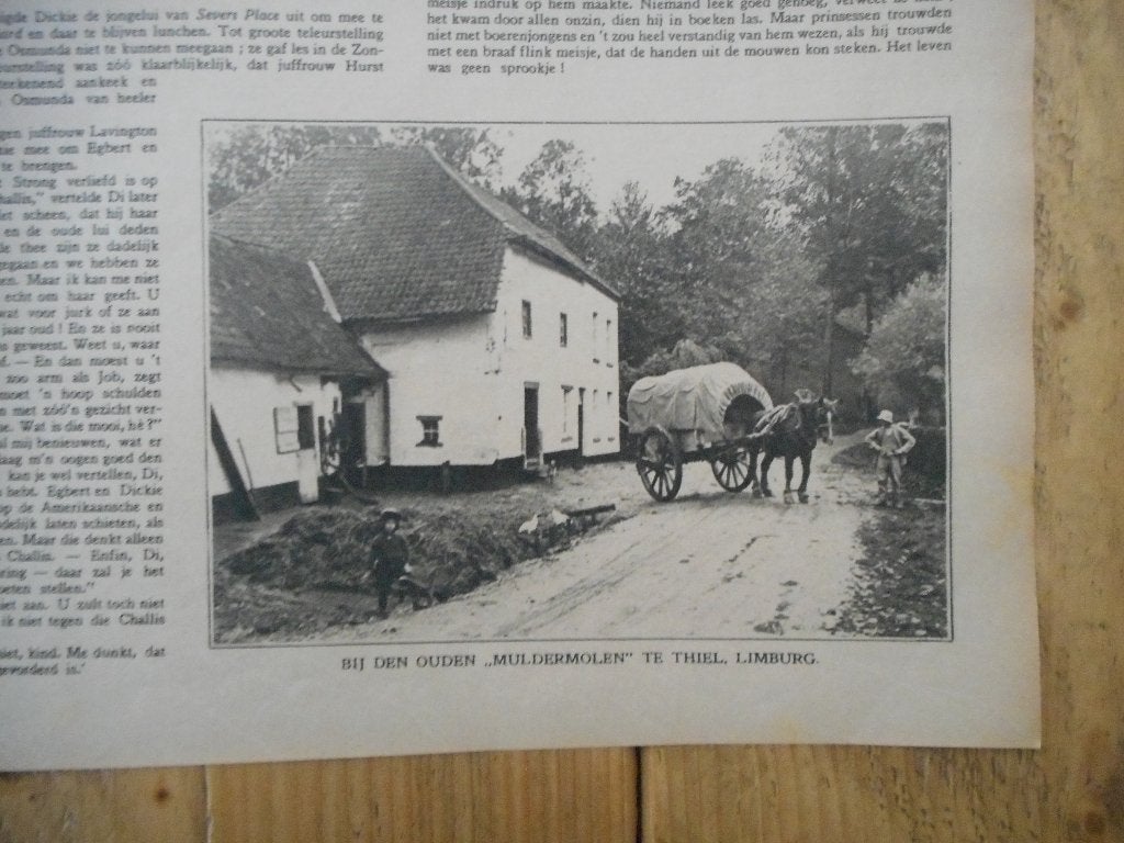 Thiel. Limburg. Muldermolen. 1930., Ophalen of Verzenden, 1920 tot 1940, Nederland, Knipsel(s)