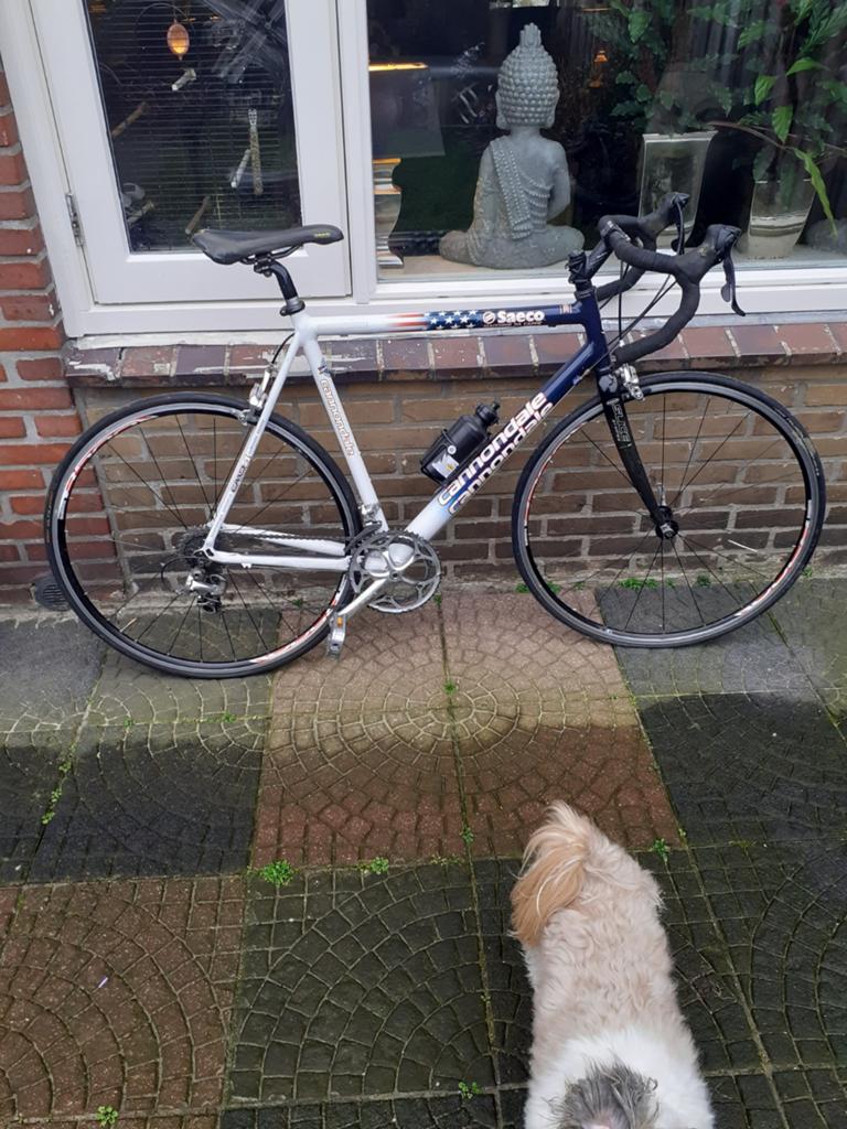 Racefiets, Ophalen of Verzenden, Aluminium, Meer dan 20 versnellingen, Overige merken