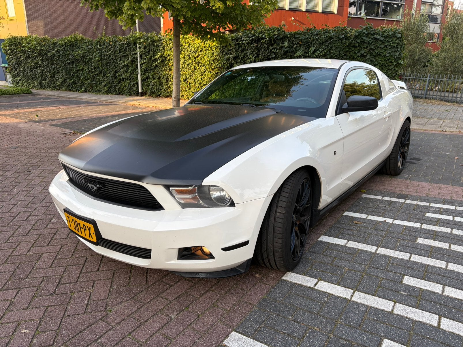 Ford Mustang 3.7 V6 ProCharged | Clean CARFAX Historie, Automaat, 1595 kg, 4 stoelen, Wit