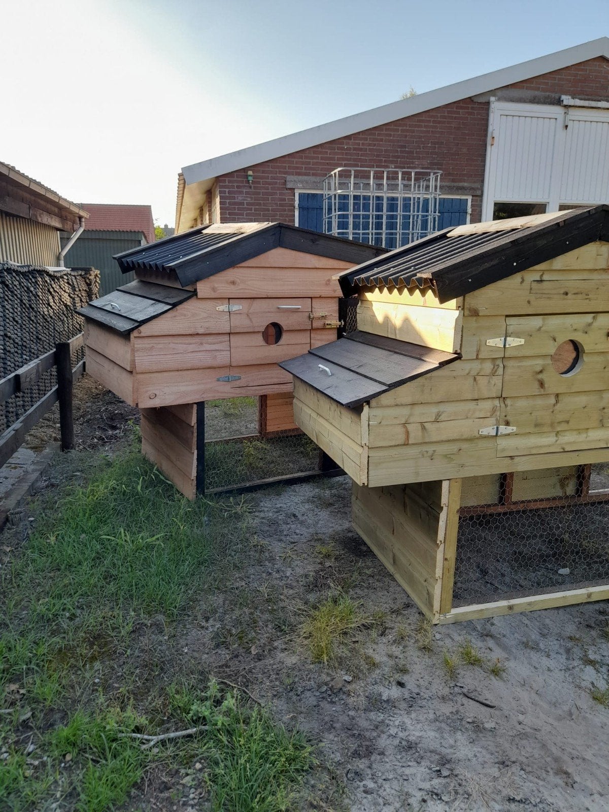 Kippenhok Nieuw, Dieren en Toebehoren, Meerdere dieren, Kip