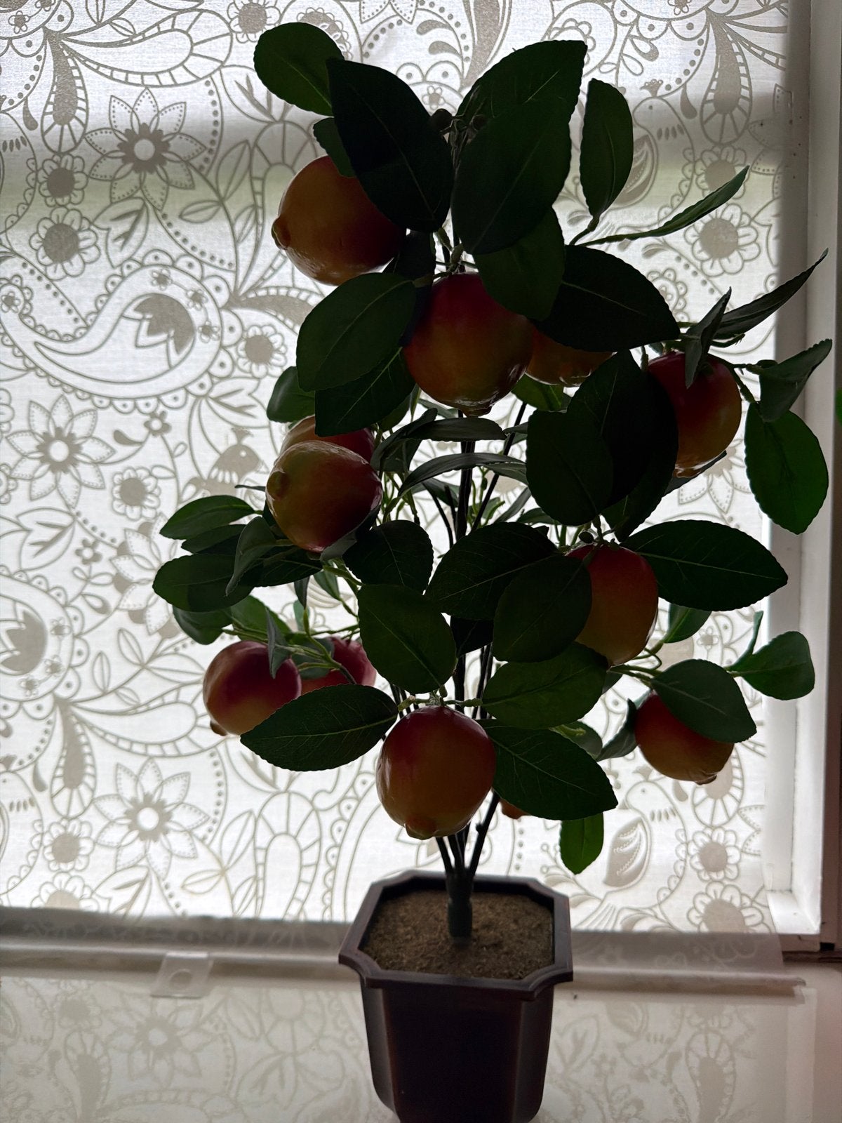 Kunstplant met vruchten - decoratieve plant, Ophalen, Binnen, Groen, Kunstplant