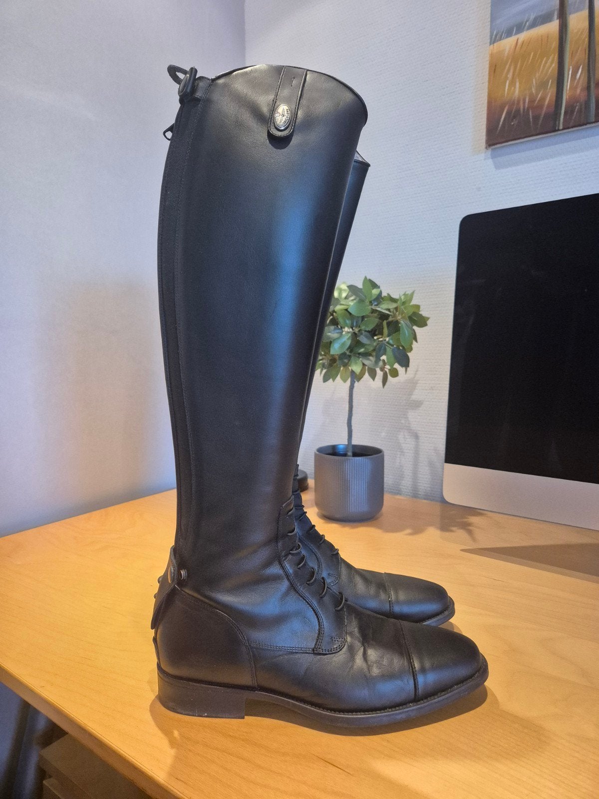 De Niro Tricolore Amabile Pro 02 maat 43 A S, Dieren en Toebehoren, Ophalen, Dressuur, Zo goed als nieuw, Zwart