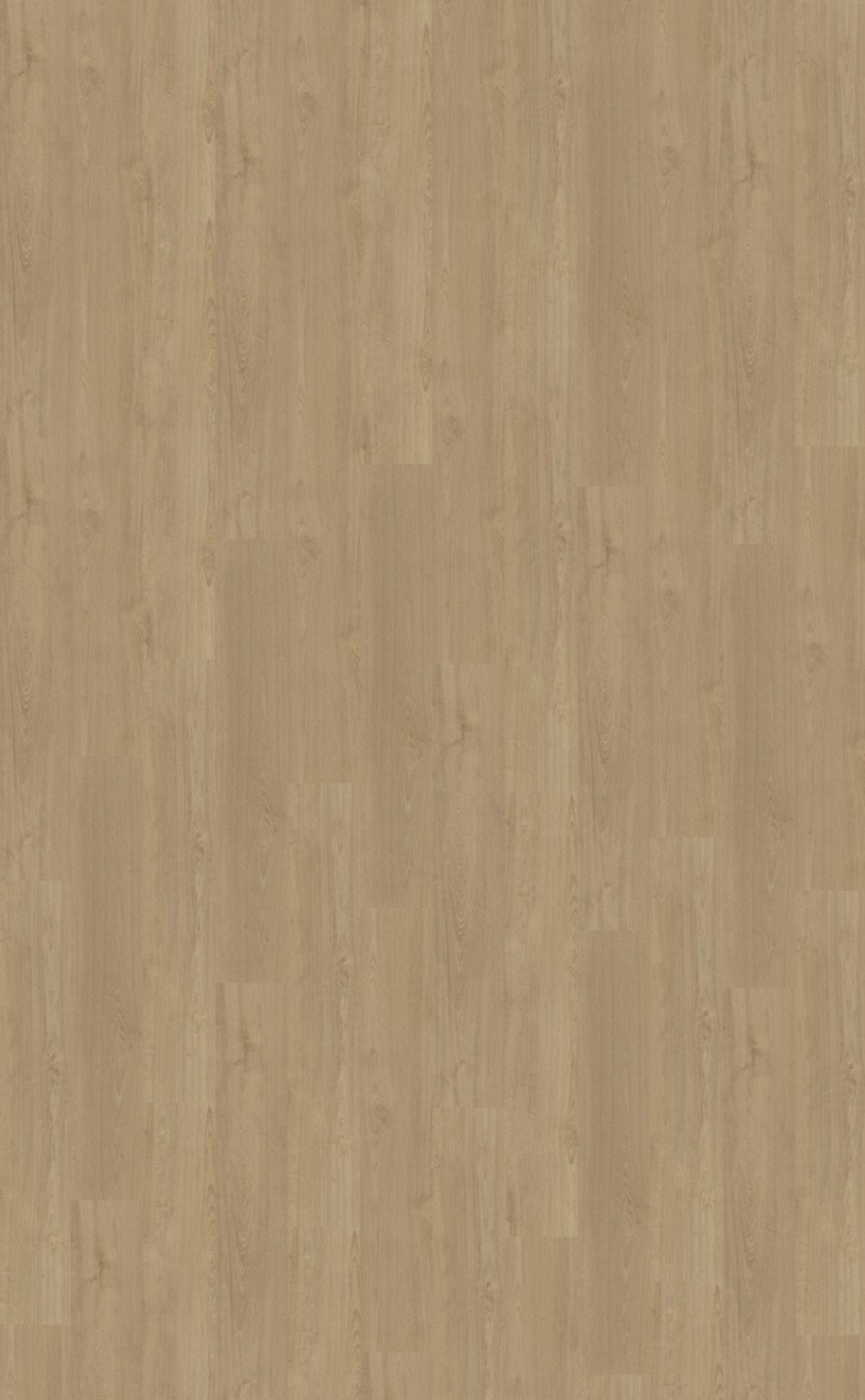 PVC. De Portico 540 Rigid Click van Belakos
De uitstraling v, Bruin, 75 m² of meer, Overige typen, Nieuw