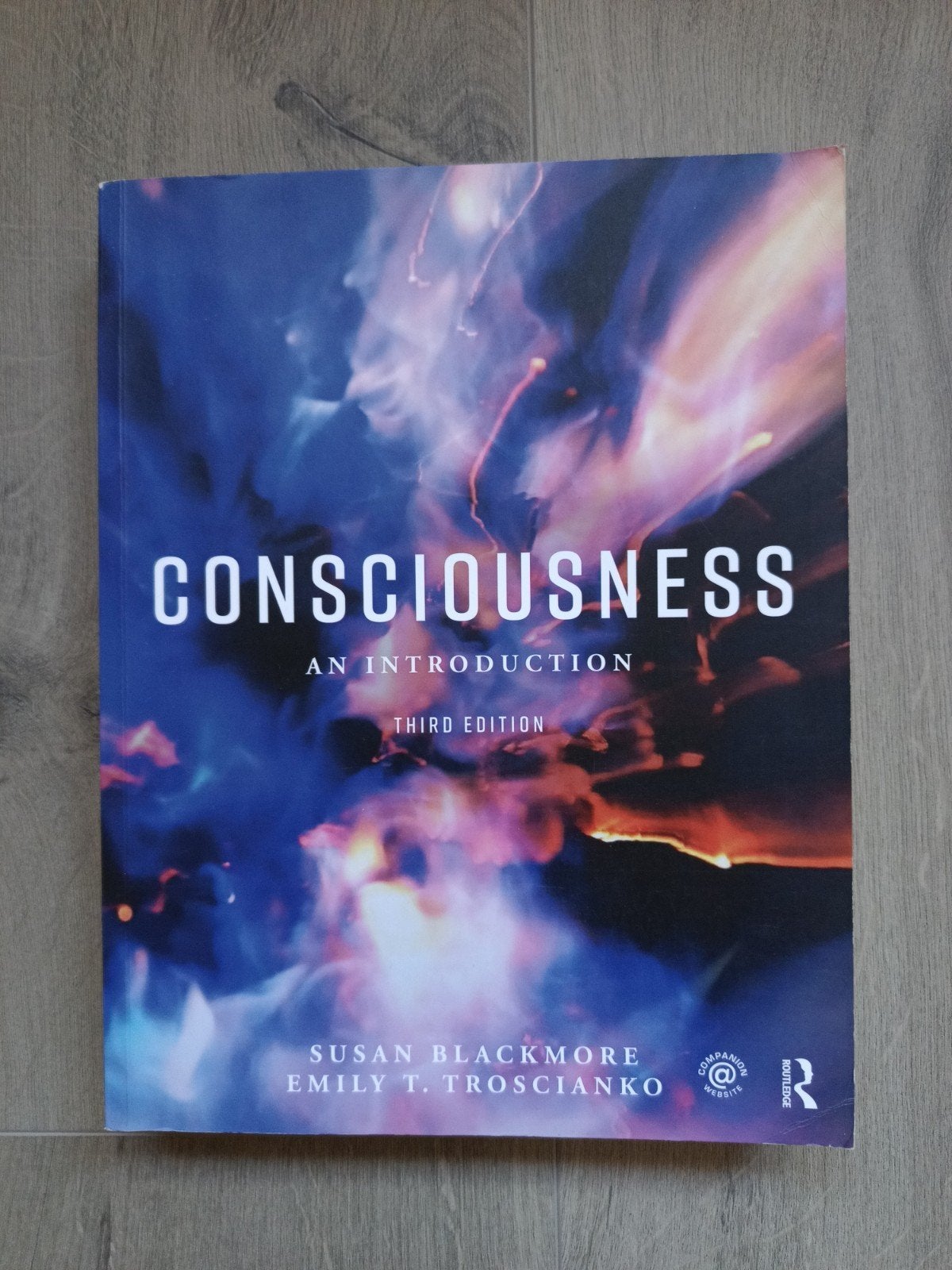 Consciousness: An Introduction - Susan Blackmore, Boeken, Ophalen of Verzenden, Susan Blackmore, Emily T. Troscianko, Alpha, WO