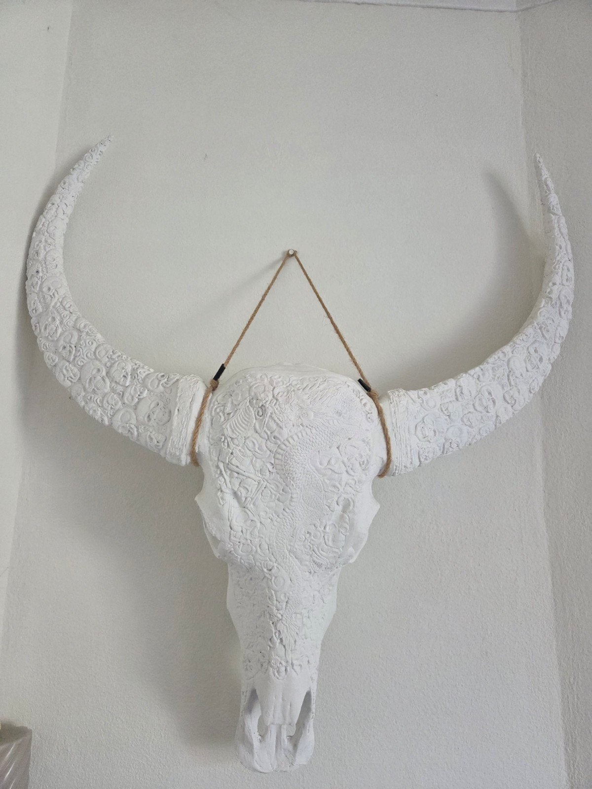 skull met details, Ophalen