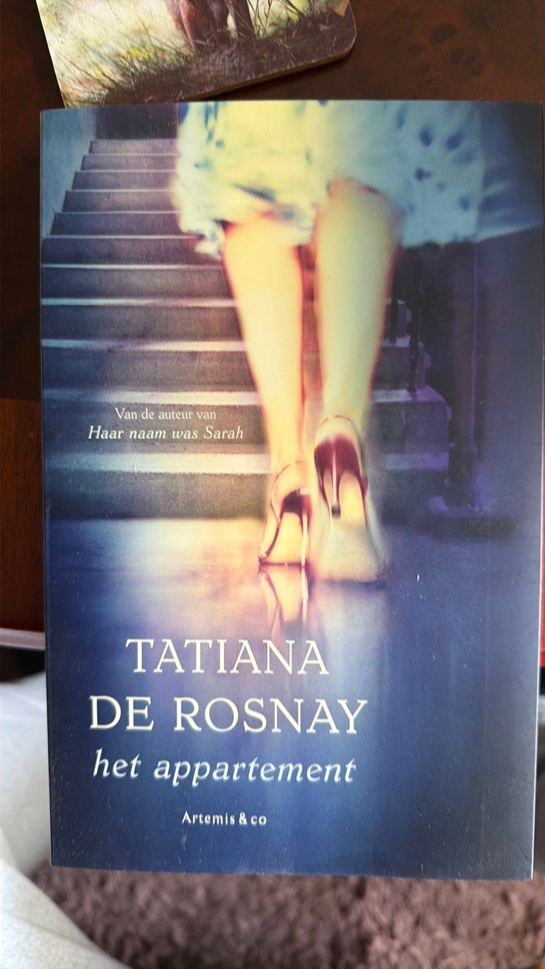 Tatiana de Rosnay - Het appartement, Ophalen of Verzenden, Zo goed als nieuw, Tatiana de Rosnay