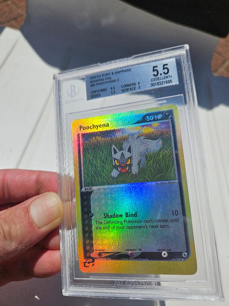 Vintage poochyena, Ophalen of Verzenden