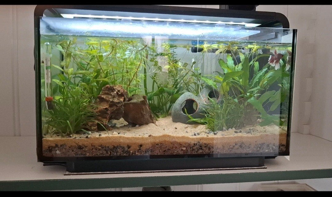 Aquarium superfish home 30, 25ltr, Dieren en Toebehoren, Ophalen, Zo goed als nieuw