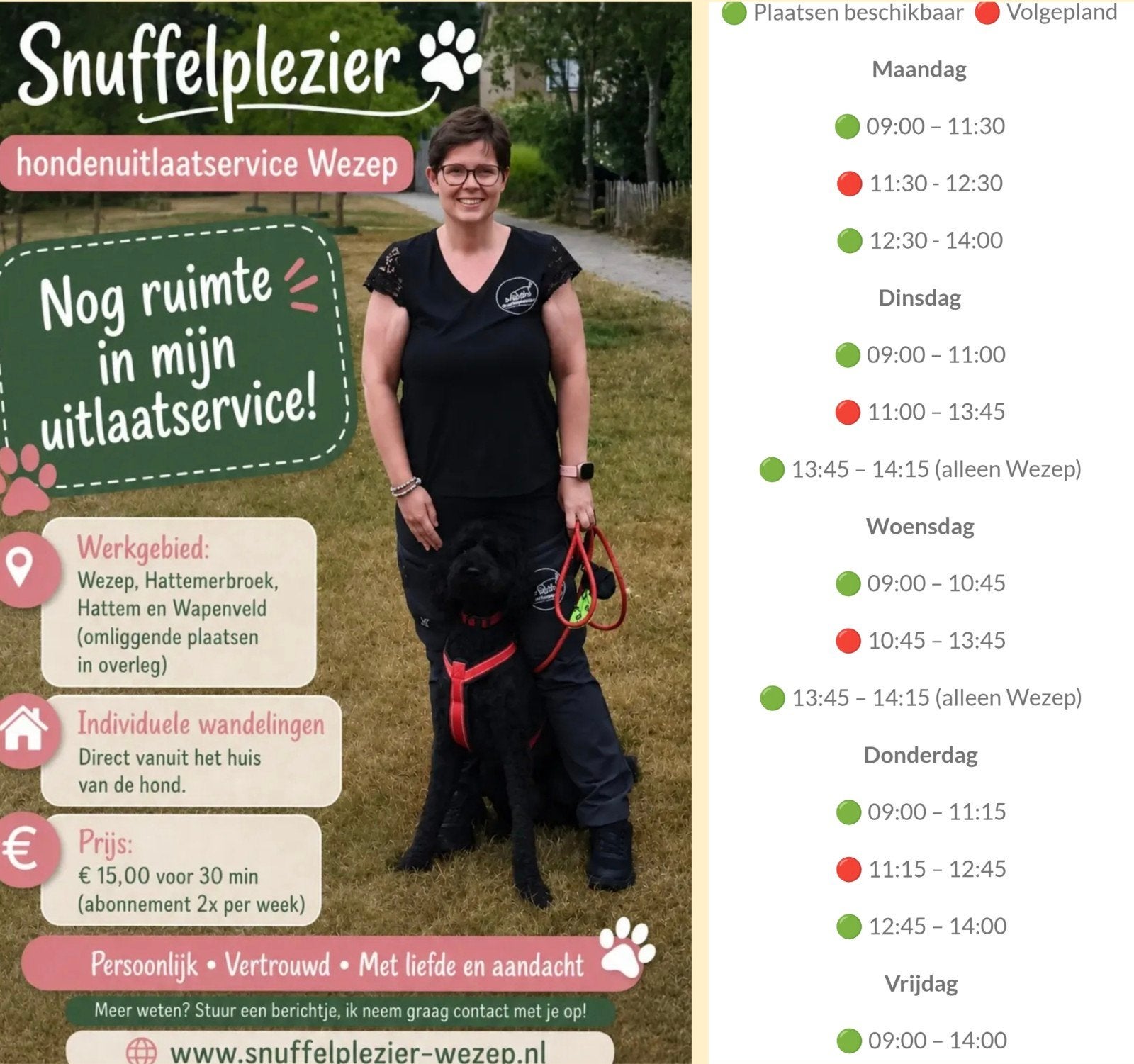 Hondenuitlaatservice Wezep, Hattem, Hattemerbroek, Wapenveld, Dieren en Toebehoren, Ophalen, Hond