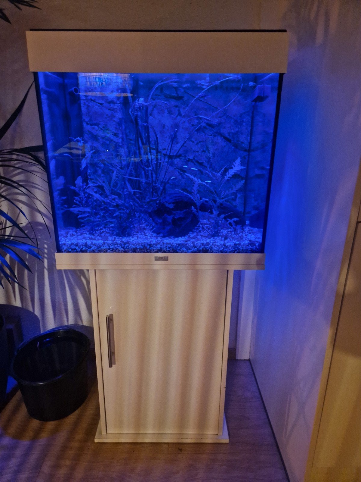 TE RUIL: Juwel lido 120 meubel/kast, Ophalen, Aquariummeubel
