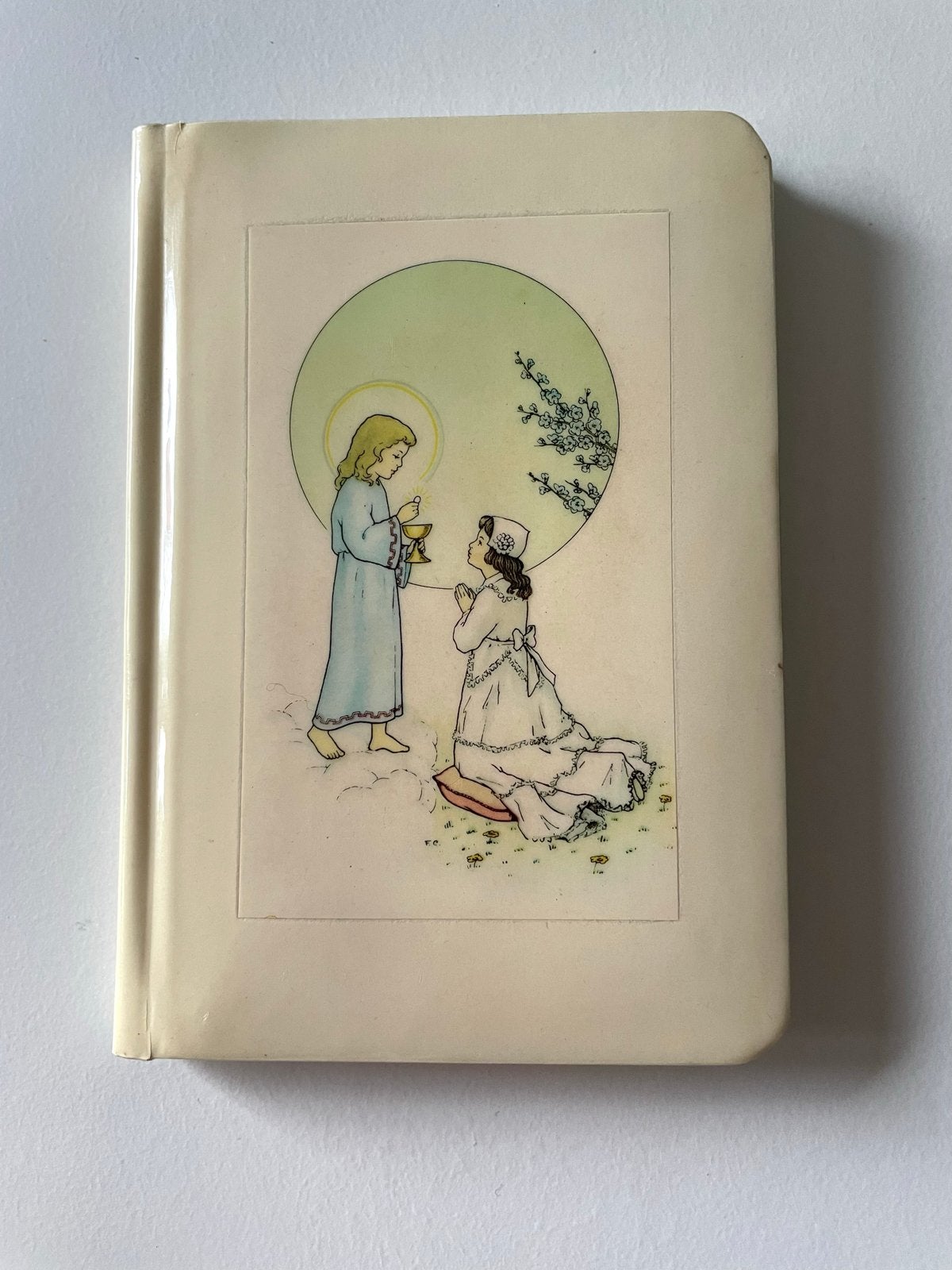 Vintage communieboekje met illustraties, Ophalen of Verzenden, Gelezen, Non-fictie