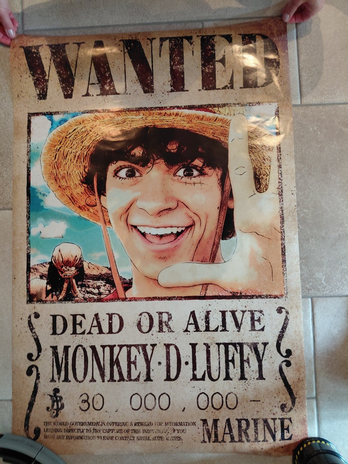 MONKEY D LUFFY gezocht poster 91cm bij 61cm, Ophalen of Verzenden, Zo goed als nieuw