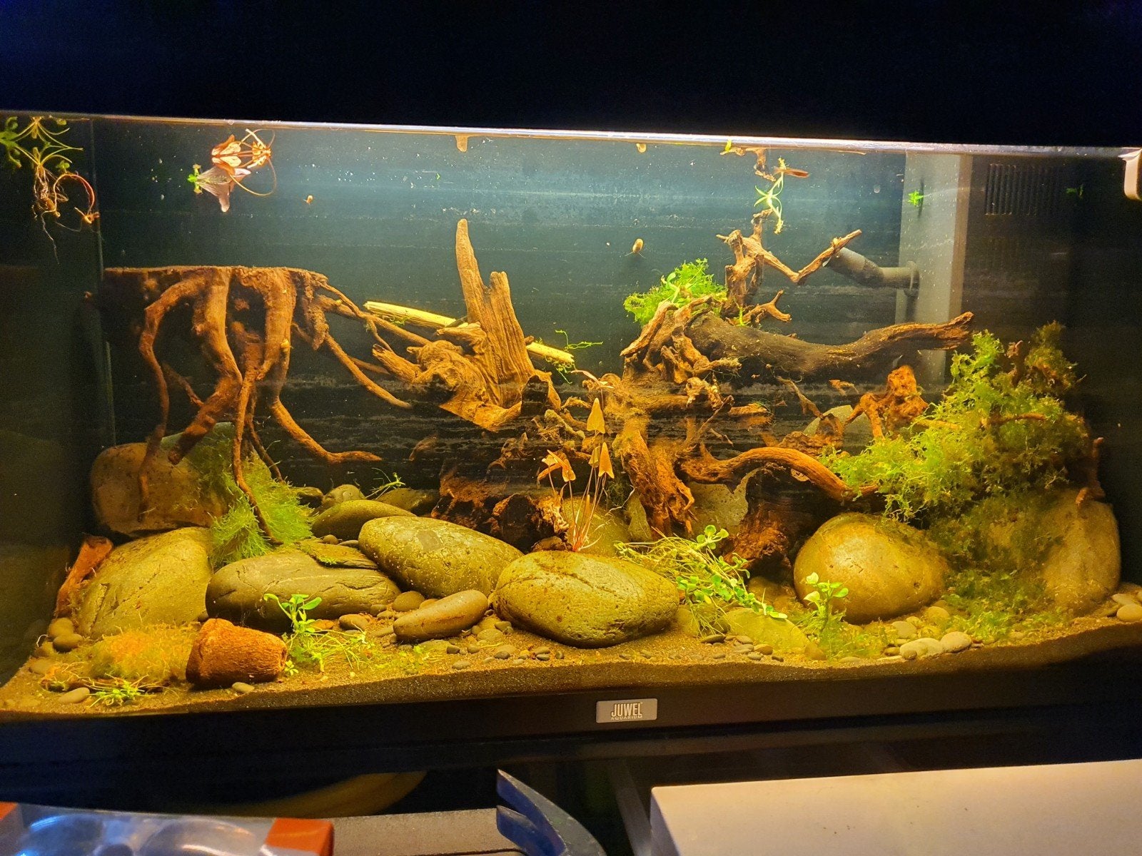 Juwel Primo 110 aquarium. Inclusief inrichting., Dieren en Toebehoren, Ophalen