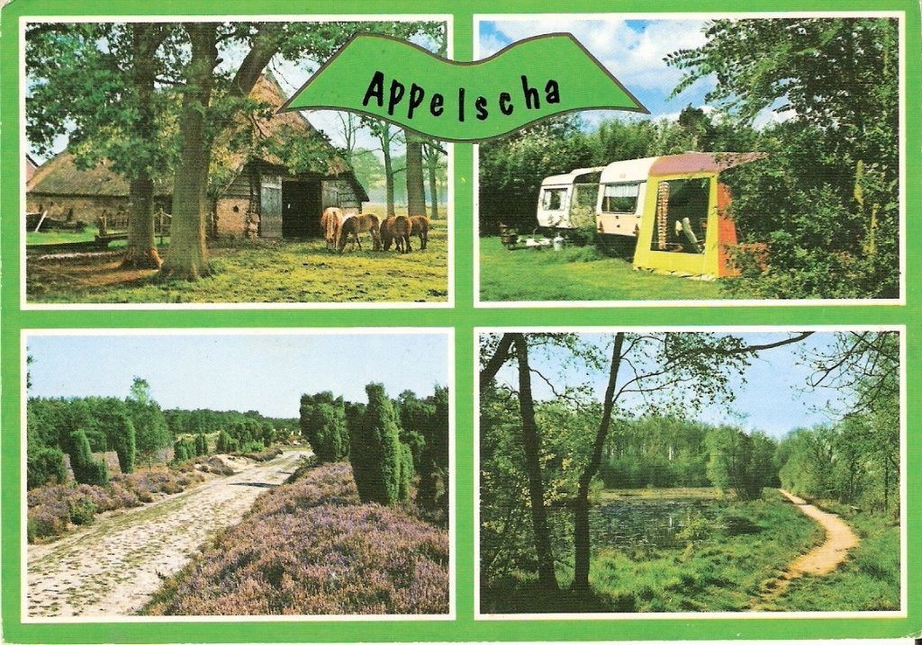 Appelscha            301a, Ophalen of Verzenden, Voor 1920