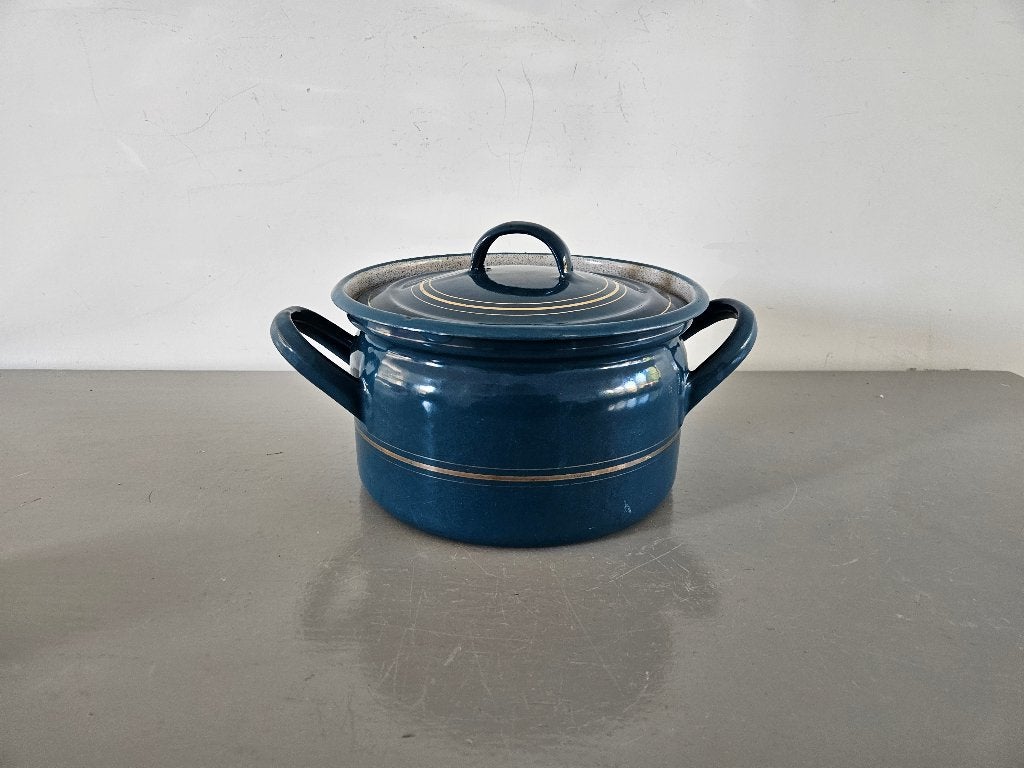 Grote pan, Ophalen of Verzenden, Rvs