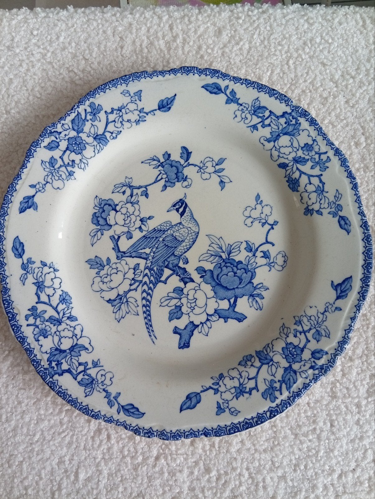 Antiek Woods Ware Mayfair bord met fazant decor, Ophalen of Verzenden