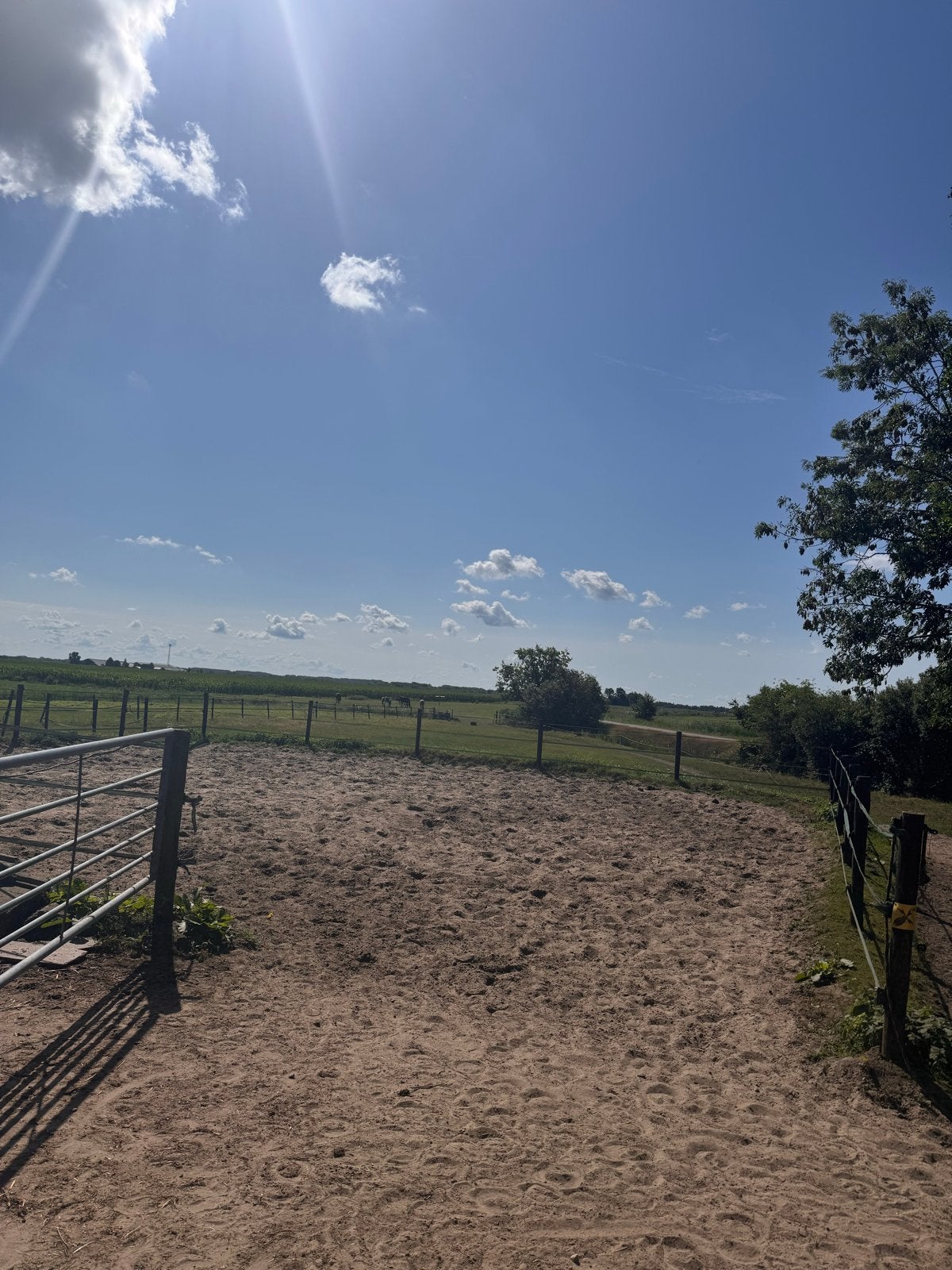 Paarden stalling- box te huur, Dieren en Toebehoren, Stalling en Weidegang, Stalling