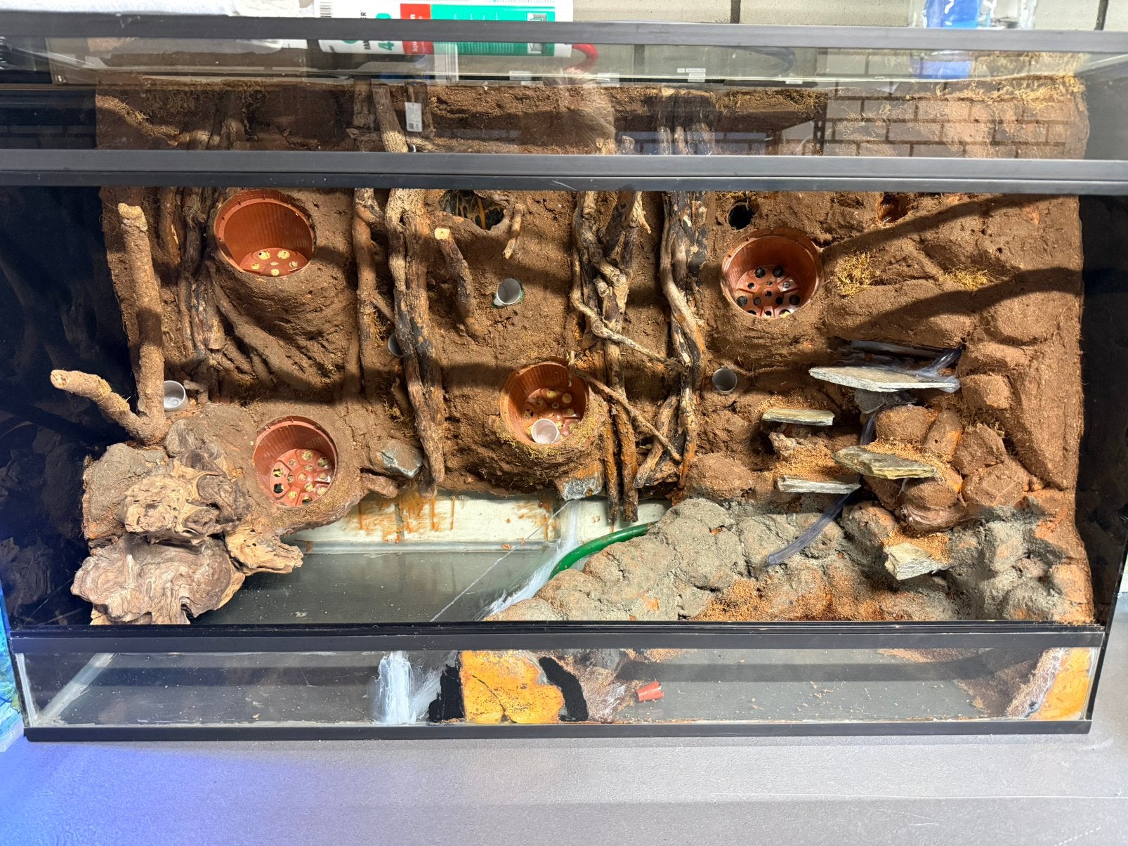 Terrarium / paludarium 100 x 60 x 40, Dieren en Toebehoren, Ophalen, Gebruikt, Terrarium of Paludarium