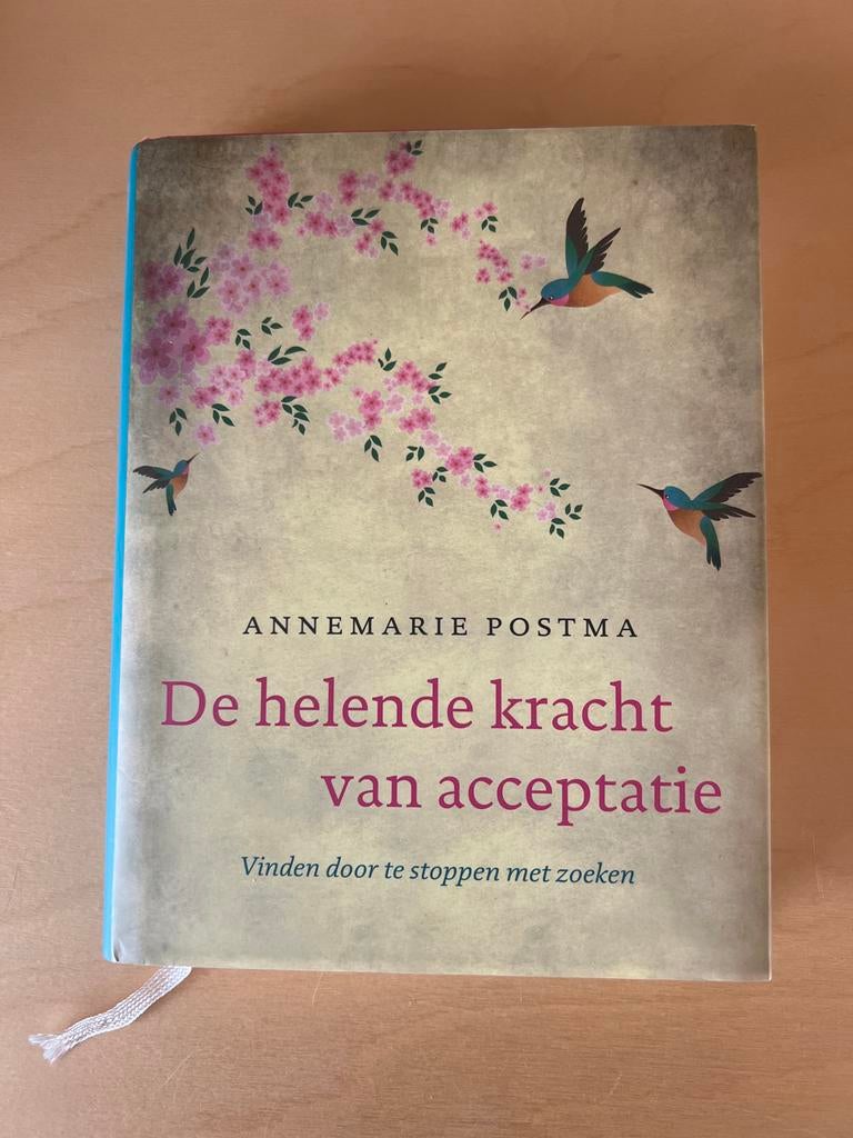 De Helende Kracht van Acceptatie - Annemarie Postma, Ophalen of Verzenden, Zo goed als nieuw, Spiritualiteit algemeen, Achtergrond en Informatie