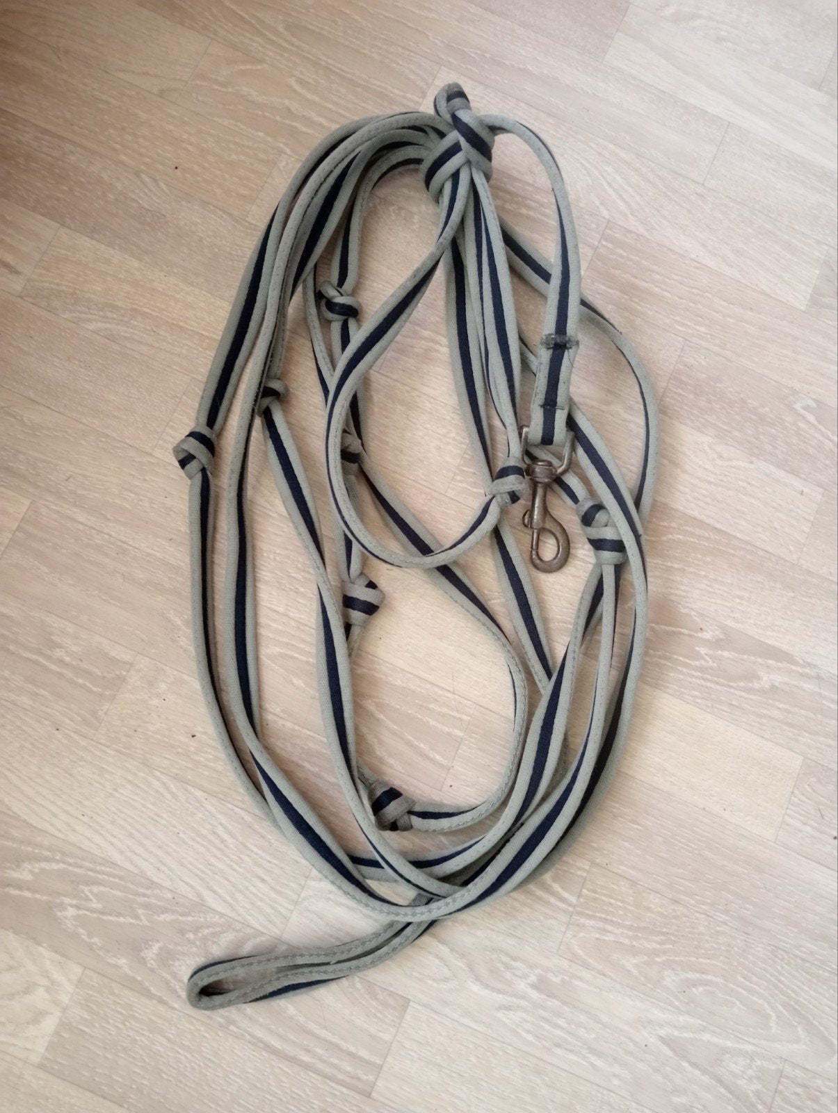 Nette HH longeerlijn, Dieren en Toebehoren, Paarden en Pony's | Overige Paardenspullen, Ophalen of Verzenden, Gebruikt, Overige disciplines