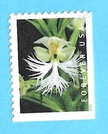 USA2020 - Orchidee, Verzenden, Gestempeld, Midden-Amerika