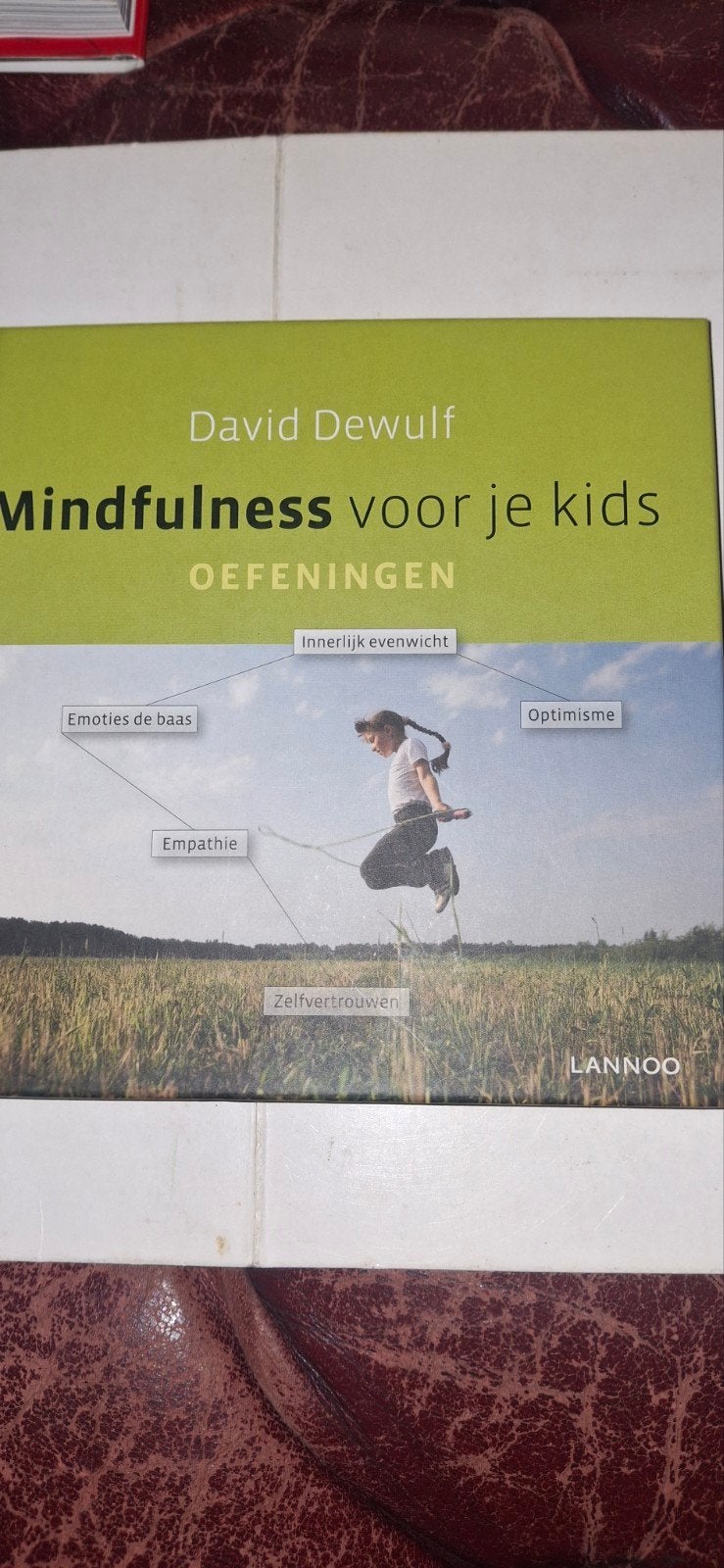 Mindfulness voor je kids - David Dewulf (met CD), Ophalen of Verzenden, Zo goed als nieuw, David Dewulf, Non-fictie