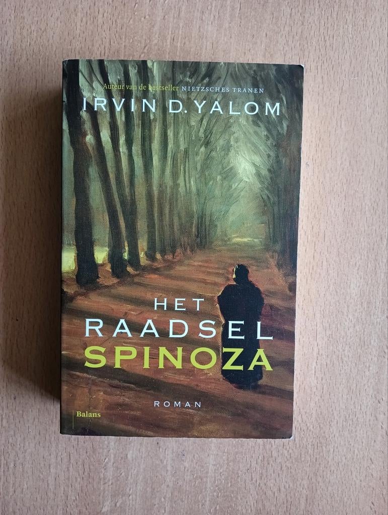 Irvin D. Yalom - Het raadsel spinoza, Ophalen of Verzenden, Zo goed als nieuw, Irvin D. Yalom