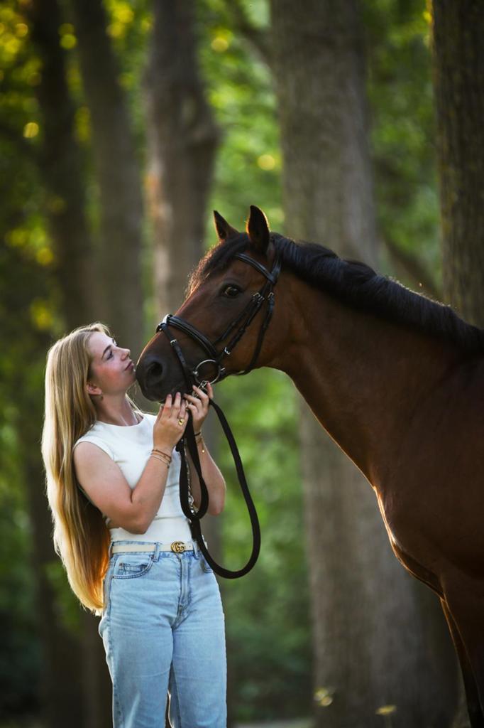 New forest pony, Dieren en Toebehoren, Ruin, Springpony, 11 jaar of ouder, D pony (1.37m tot 1.48m)
