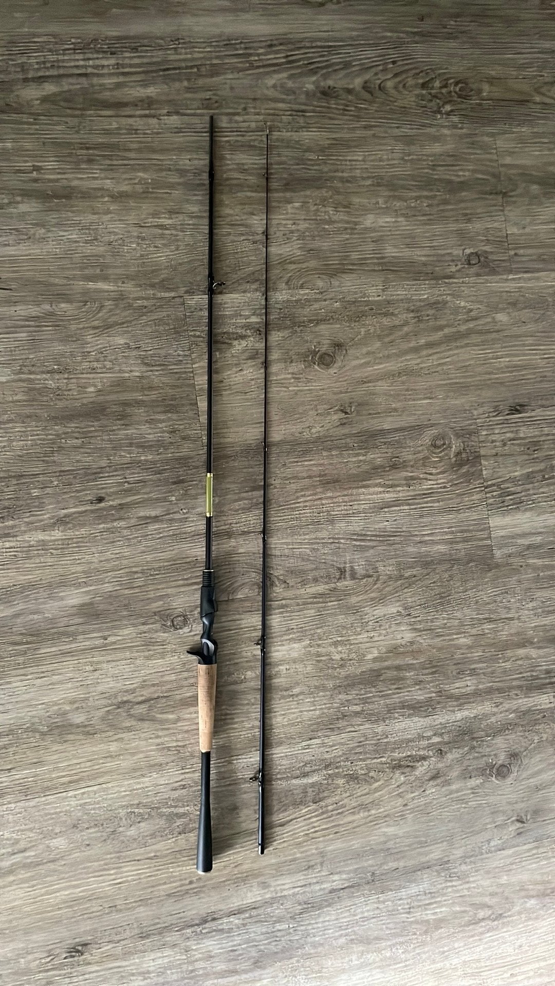 Delphin baitcast hengel, Watersport en Boten, Hengelsport | Roofvissen, Ophalen, Gebruikt, Werphengel